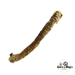 Trachée de bœuf entière