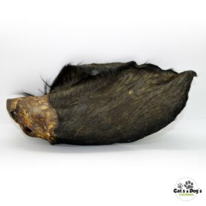 Oreille de bœuf avec poils