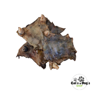 Plaques de peau avec petits sabot