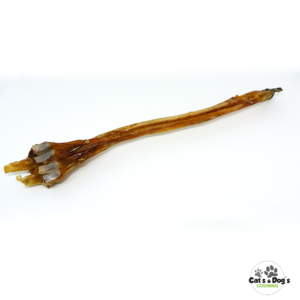 Tendon d’Achille de cerf