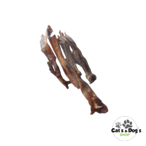 Tendon d’Achille de cheval