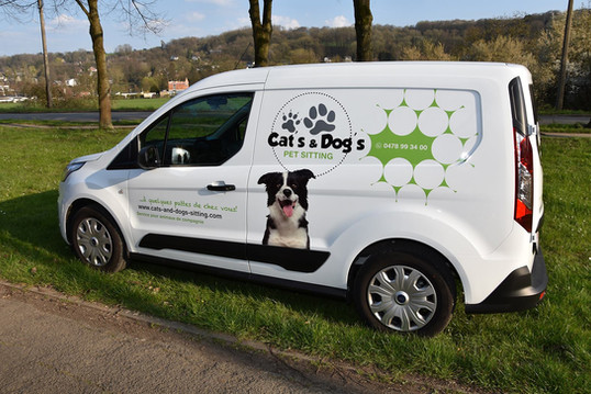 catsanddogs_visite_1