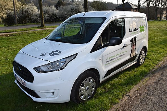 catsanddogs_visite_2