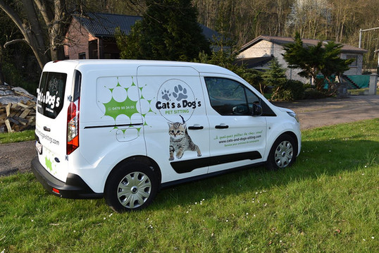 catsanddogs_visite_3