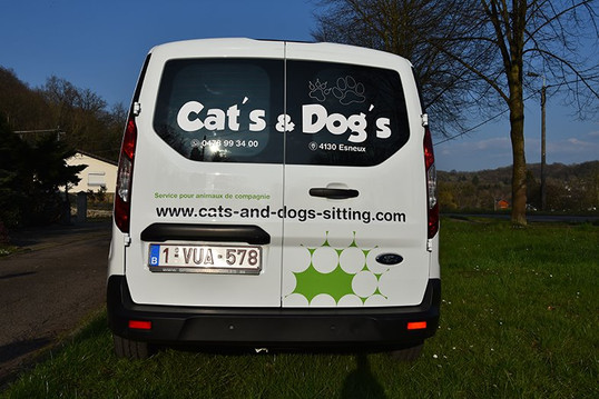catsanddogs_visite_5