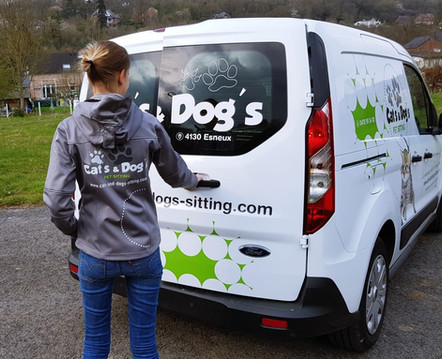 catsanddogs_visite_7